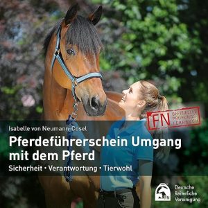 Pferdeführerschein Umgang mit dem Pferd