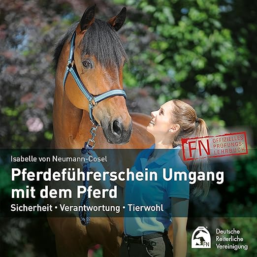 Pferdeführerschein Umgang mit dem Pferd